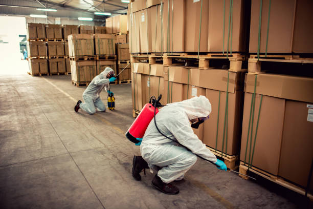 Pest Prevention Services in Fort Defiance, AZ