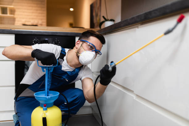 Best Insect Control  in Fort Defiance, AZ