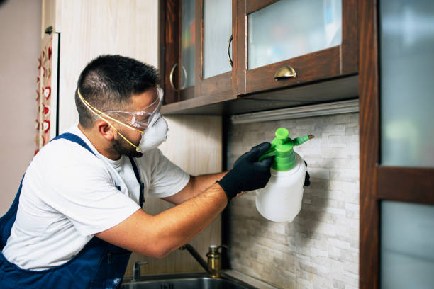 Best Pest Prevention Services  in Fort Defiance, AZ