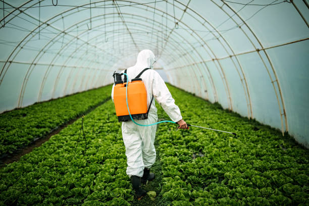 Best Emergency Pest Control  in Fort Defiance, AZ