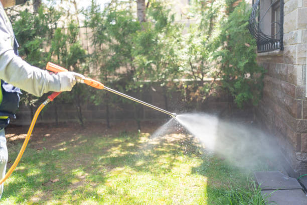 Wildlife Control Services in Fort Defiance, AZ